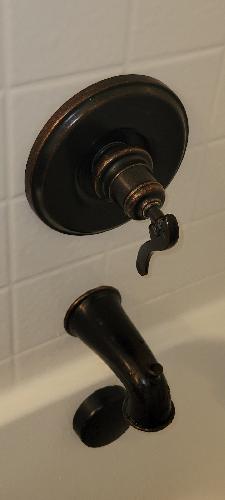 7w3xjxir3j4hcirsq9eym~100 1