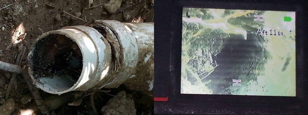 combined side by side